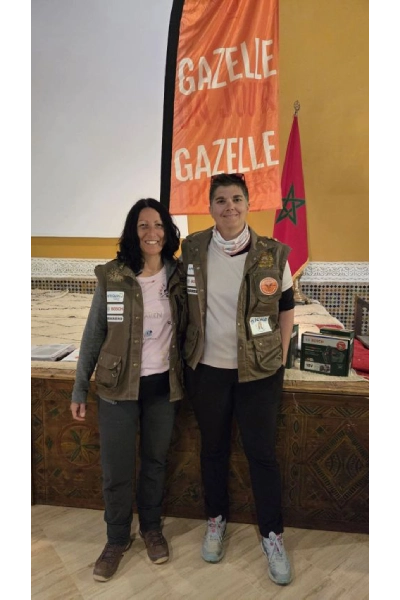 raylle-gazelle-2